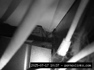Webcam Sex Site, Hd, Voyeur, Sexwebcam, Pov, No Drinking, Hidden Cam, Hidden, Flashing, Flas.